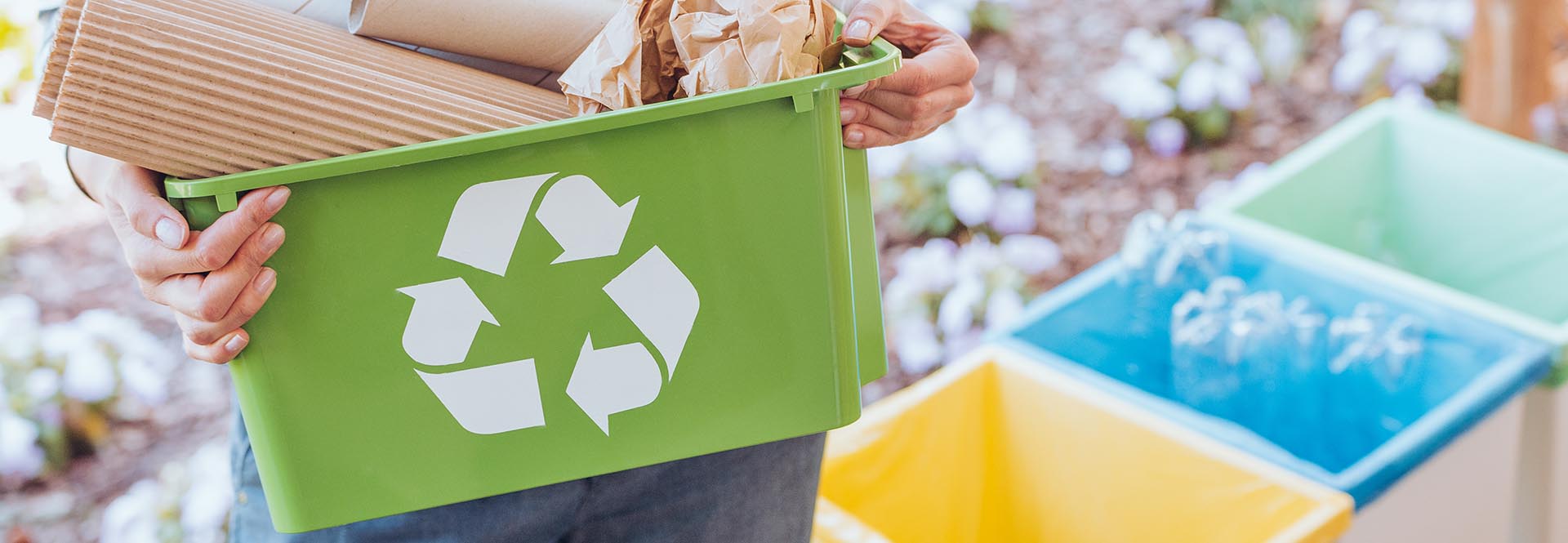 Activist,Taking,Care,Of,Environment,,Sorting,Paper,Waste,To,Proper